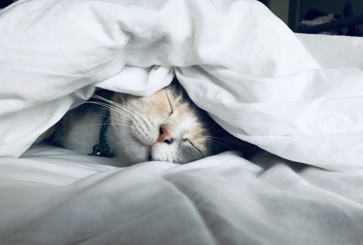 ADHD and Sleep Problems